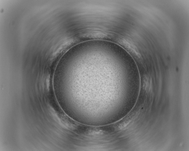 X0000088580206200706011121