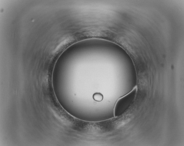 X0000088580207200706011121