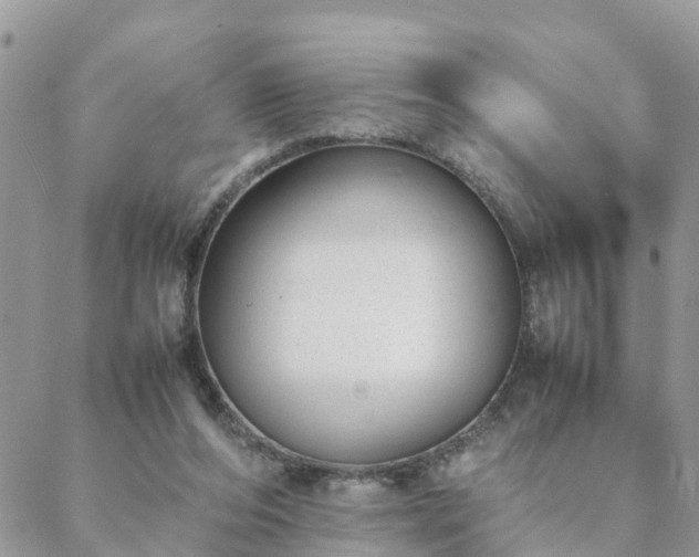 X0000088580208200706011121