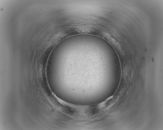 X0000088580209200706011121