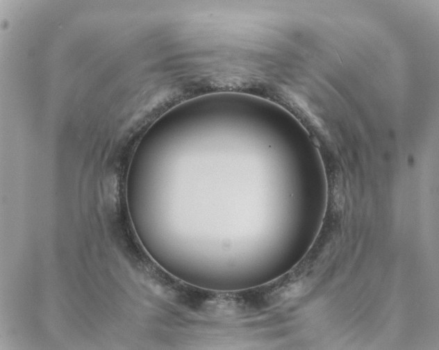 X0000088580211200706011121