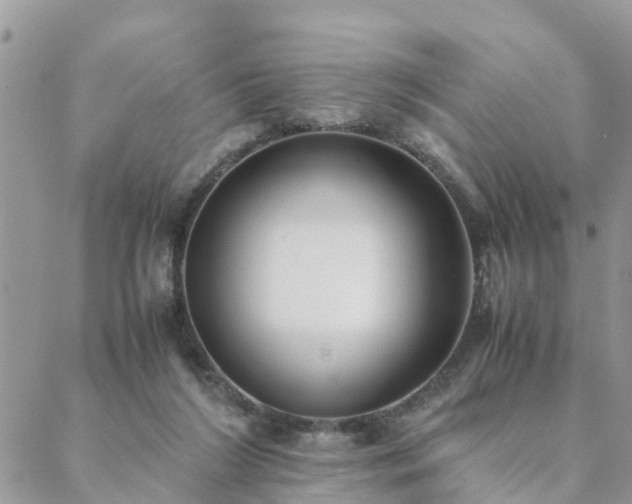 X0000088580212200706011121