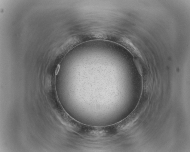 X0000088580213200706011121