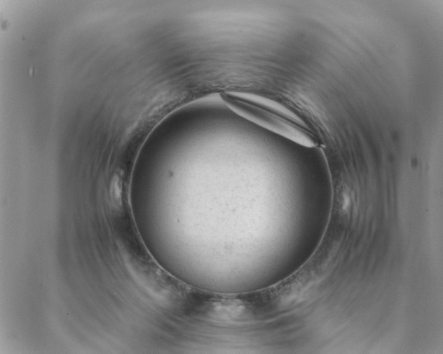 X0000088580214200706011121