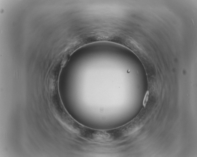 X0000088580215200706011121