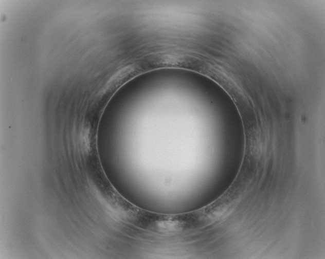 X0000088580216200706011121