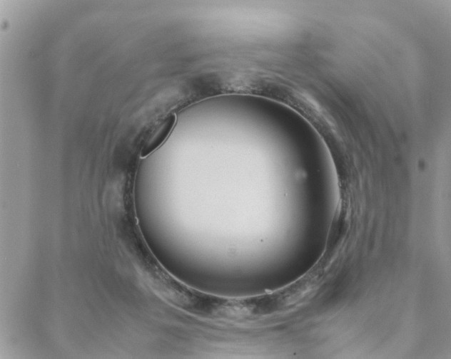 X0000088580217200706011121