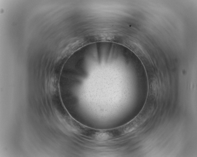 X0000088580218200706011121