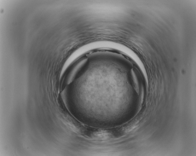 X0000088580219200706011121