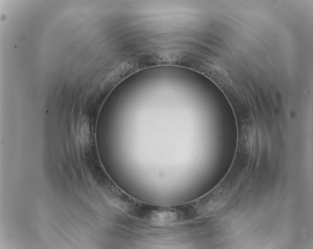 X0000088580220200706011121