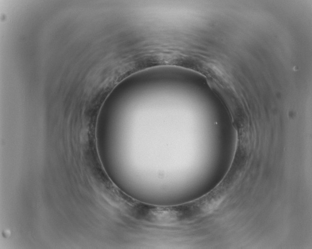 X0000088580221200706011121