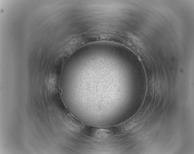 X0000088580222200706011121