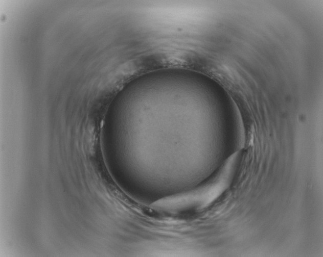 X0000088580223200706011121