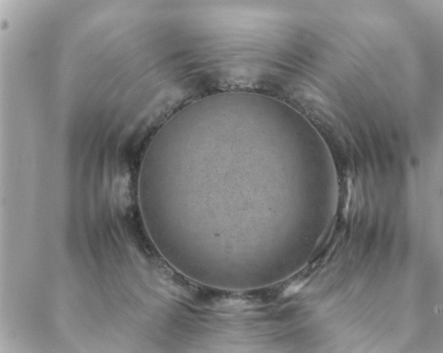 X0000088580224200706011121