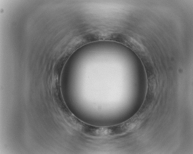 X0000088580225200706011121