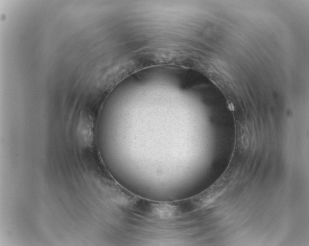 X0000088580226200706011121