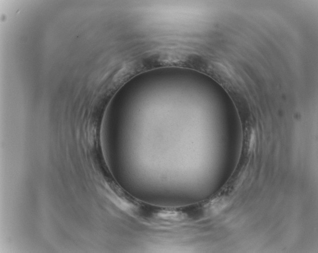 X0000088580227200706011121