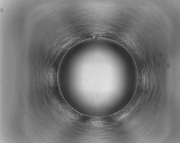 X0000088580228200706011121