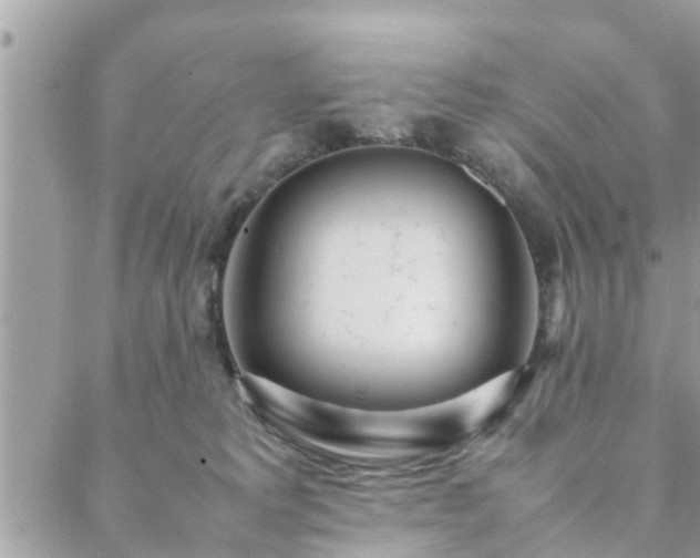 X0000088580229200706011120