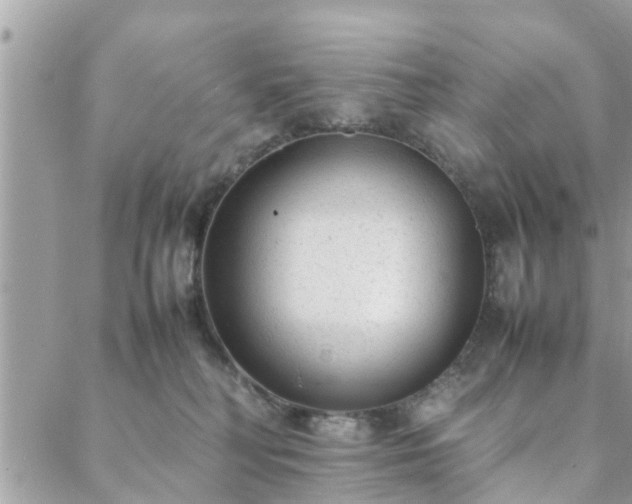 X0000088580230200706011120