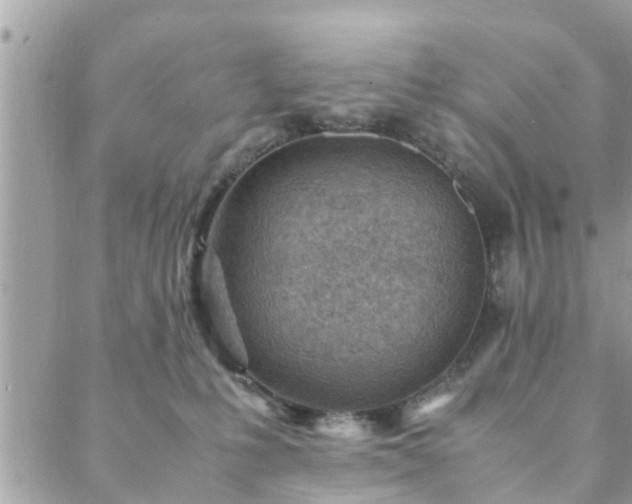 X0000088580231200706011120