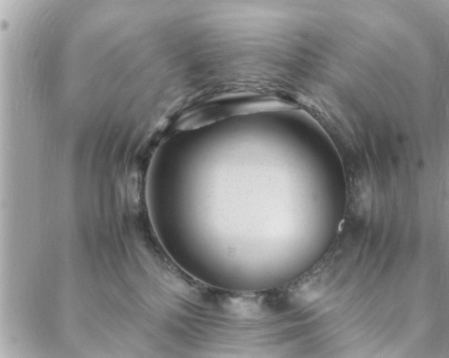 X0000088580232200706011120