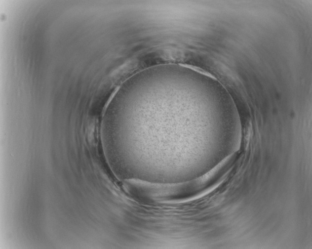 X0000088580233200706011120