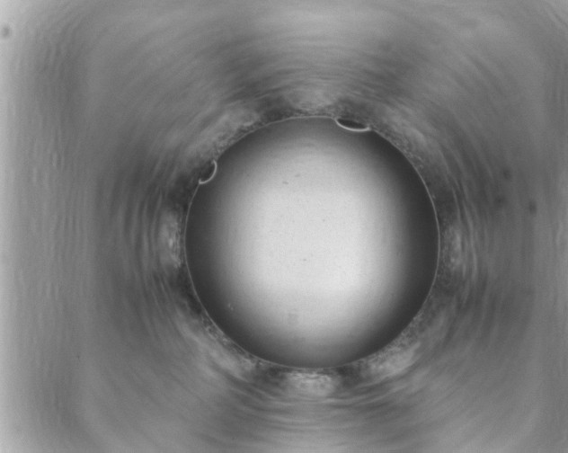 X0000088580234200706011120