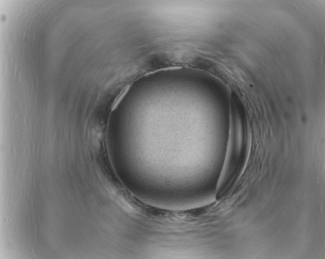 X0000088580235200706011120