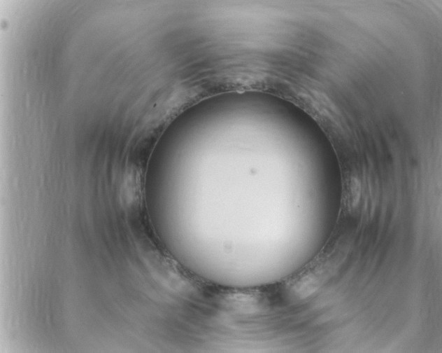 X0000088580236200706011120