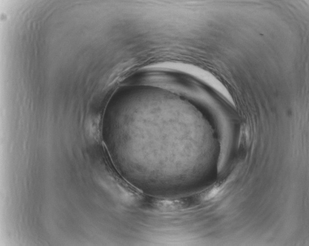 X0000088580239200706011120