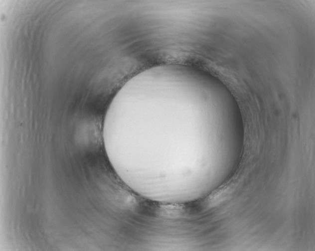 X0000088580240200706011120