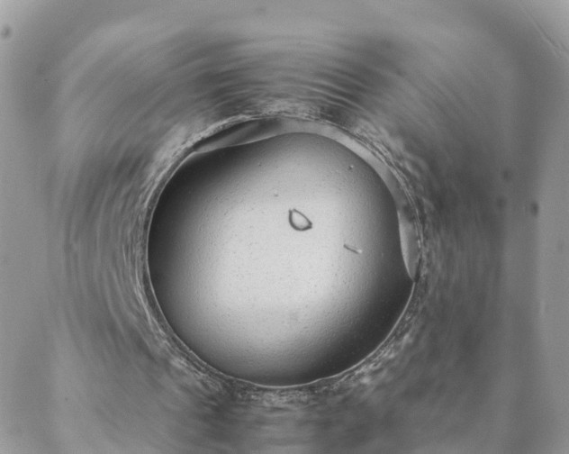 X0000088580241200706011120