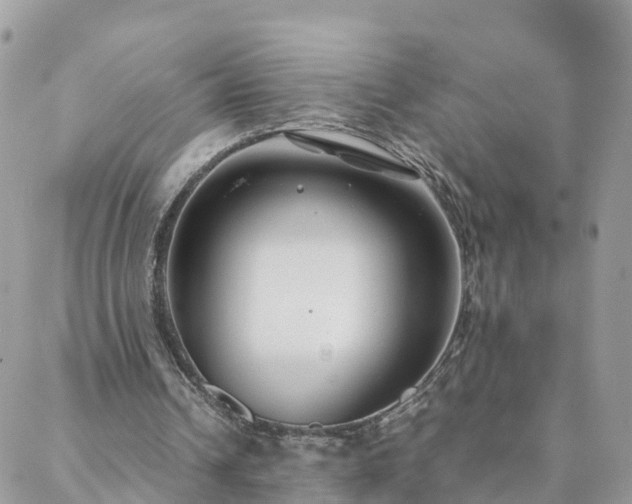 X0000088580242200706011120