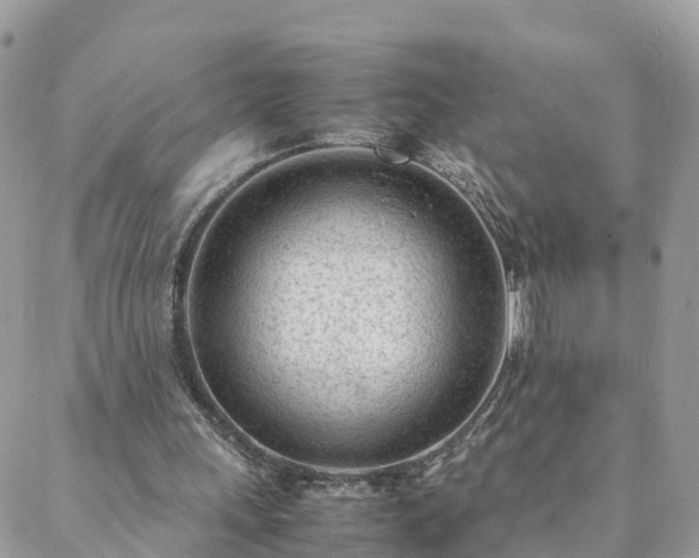 X0000088580243200706011120