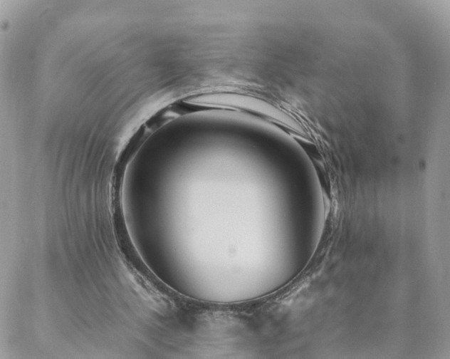 X0000088580244200706011120