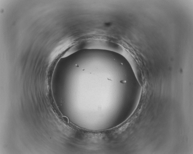 X0000088580245200706011120