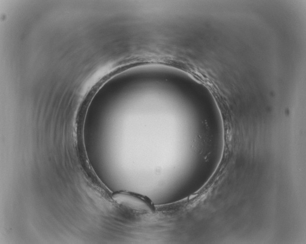 X0000088580246200706011120