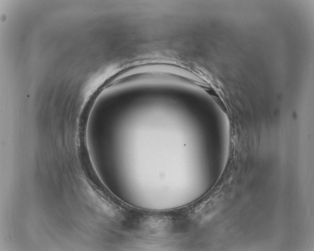 X0000088580248200706011120