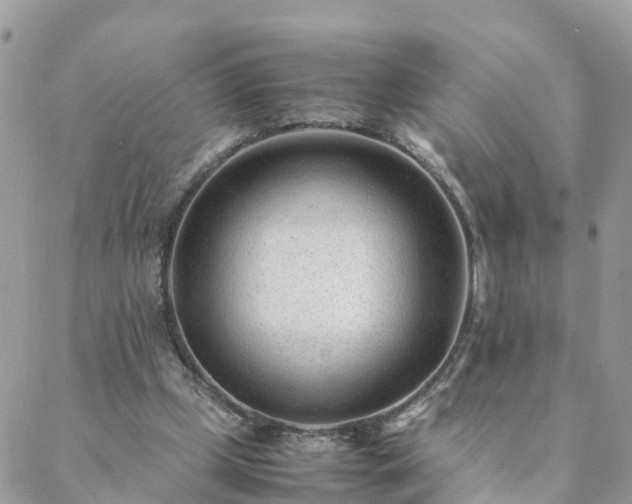 X0000088580249200706011120