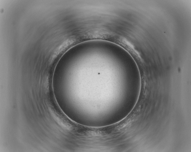 X0000088580250200706011120