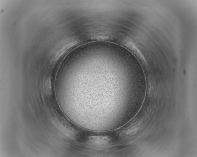 X0000088580251200706011120