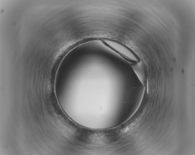 X0000088580252200706011120