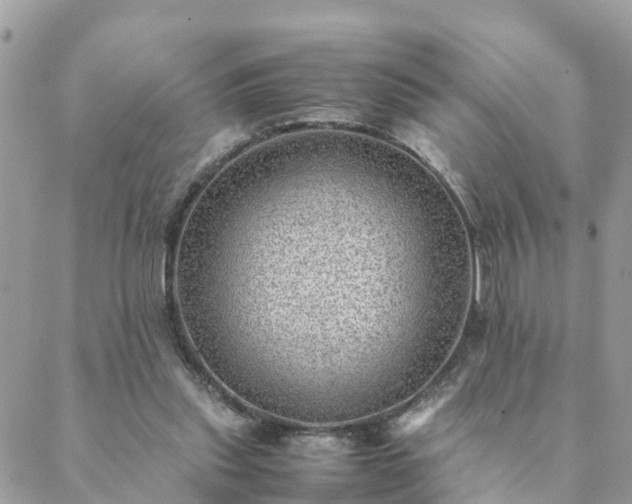 X0000088580253200706011120