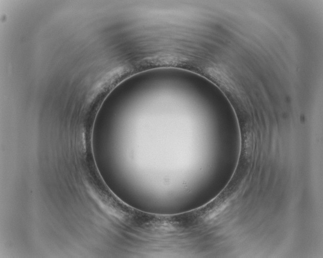 X0000088580254200706011120