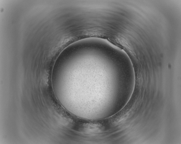 X0000088580255200706011120