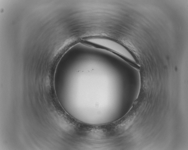 X0000088580256200706011120