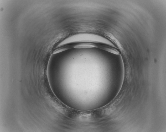 X0000088580257200706011120