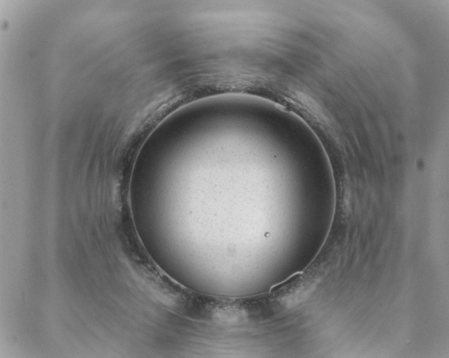 X0000088580258200706011120