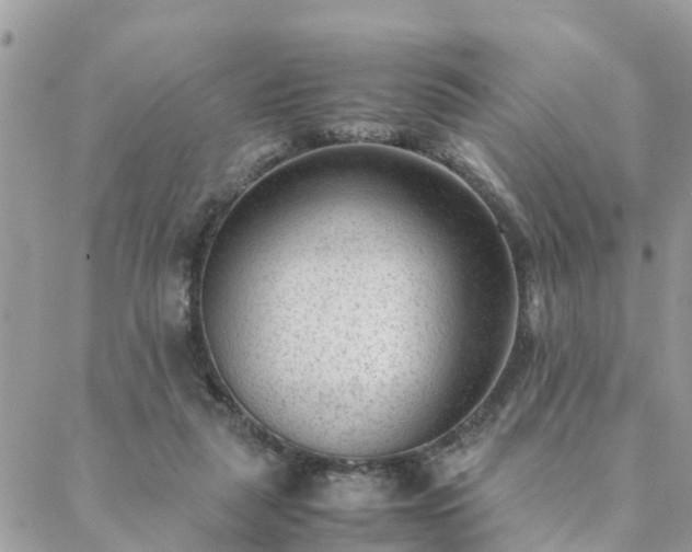 X0000088580259200706011120